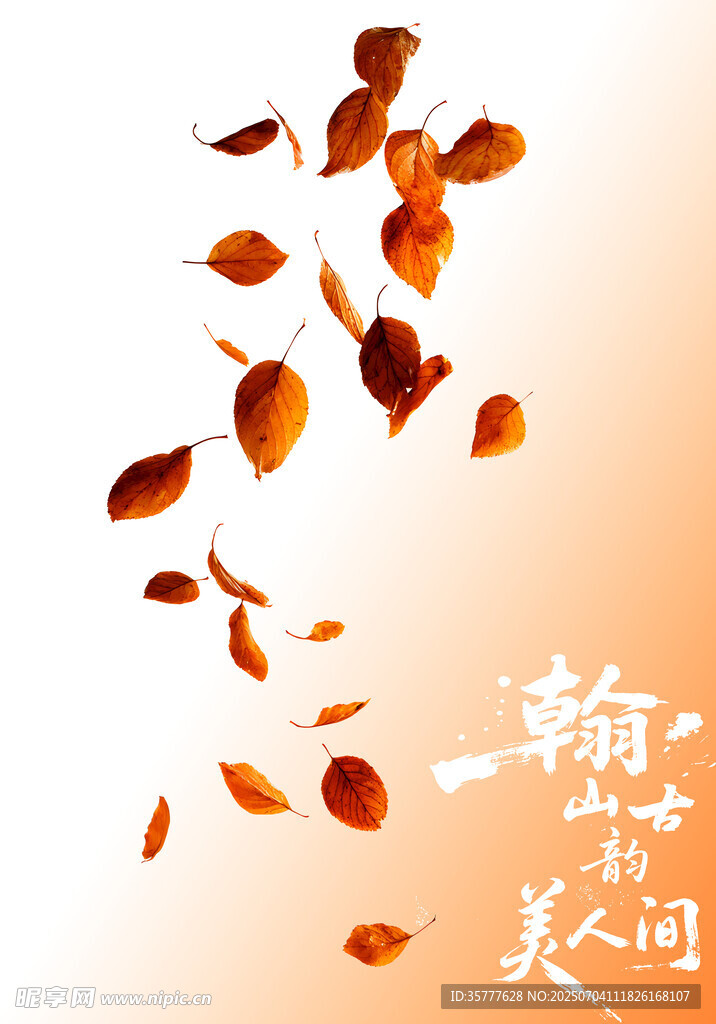 飘落的秋叶