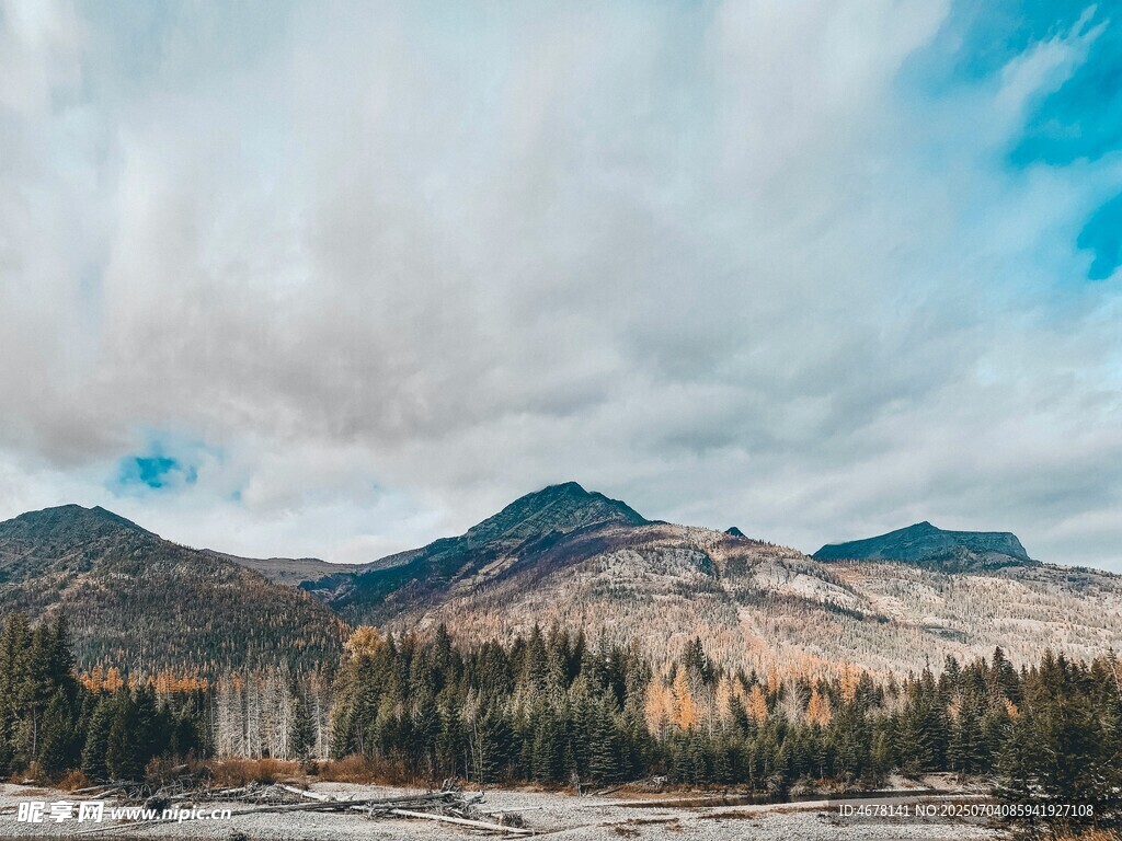 壮丽山景与森林景观