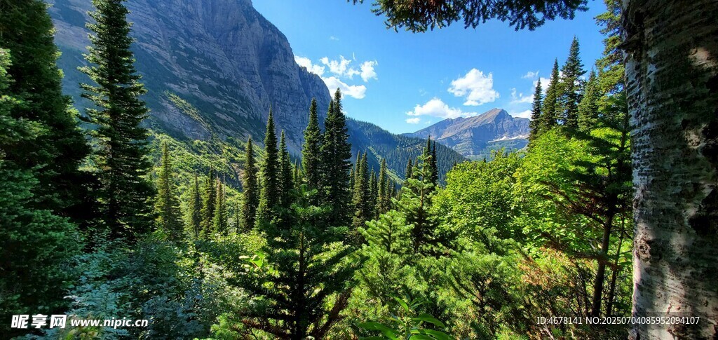 山林间的秀丽自然景致