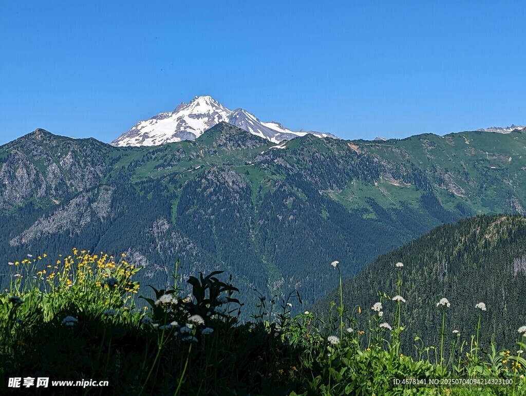 壮丽雪山与葱郁山林景观