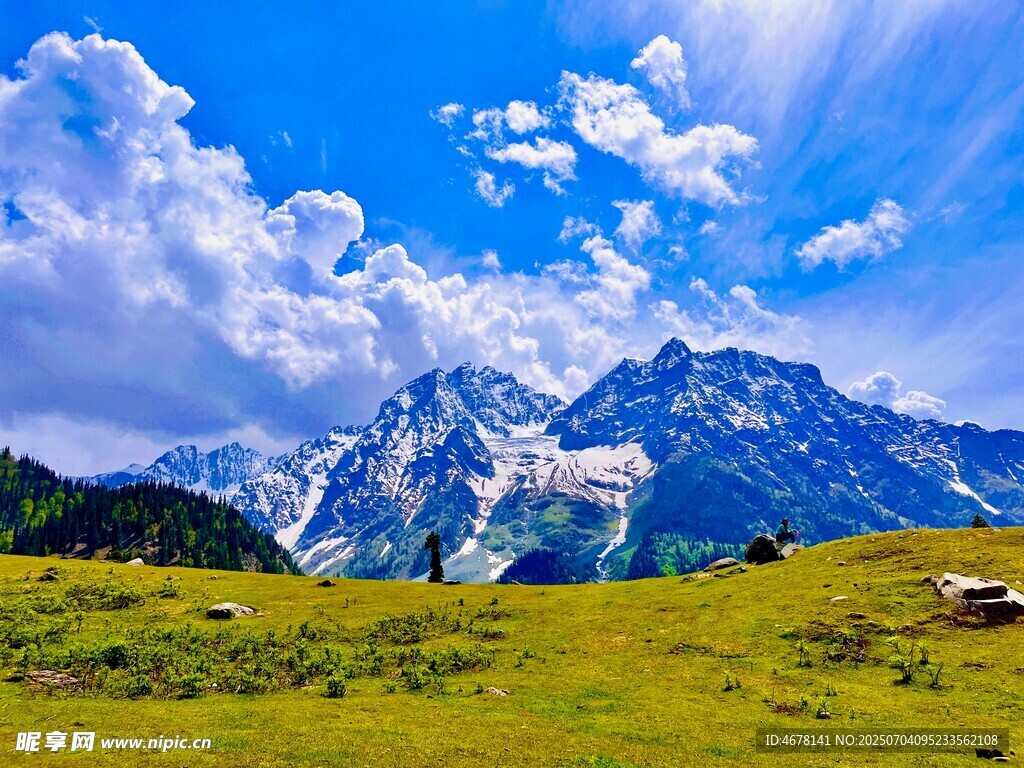 高山草甸美景