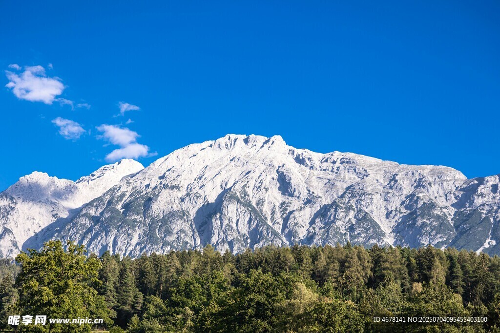 巍峨雪山下的葱郁森林
