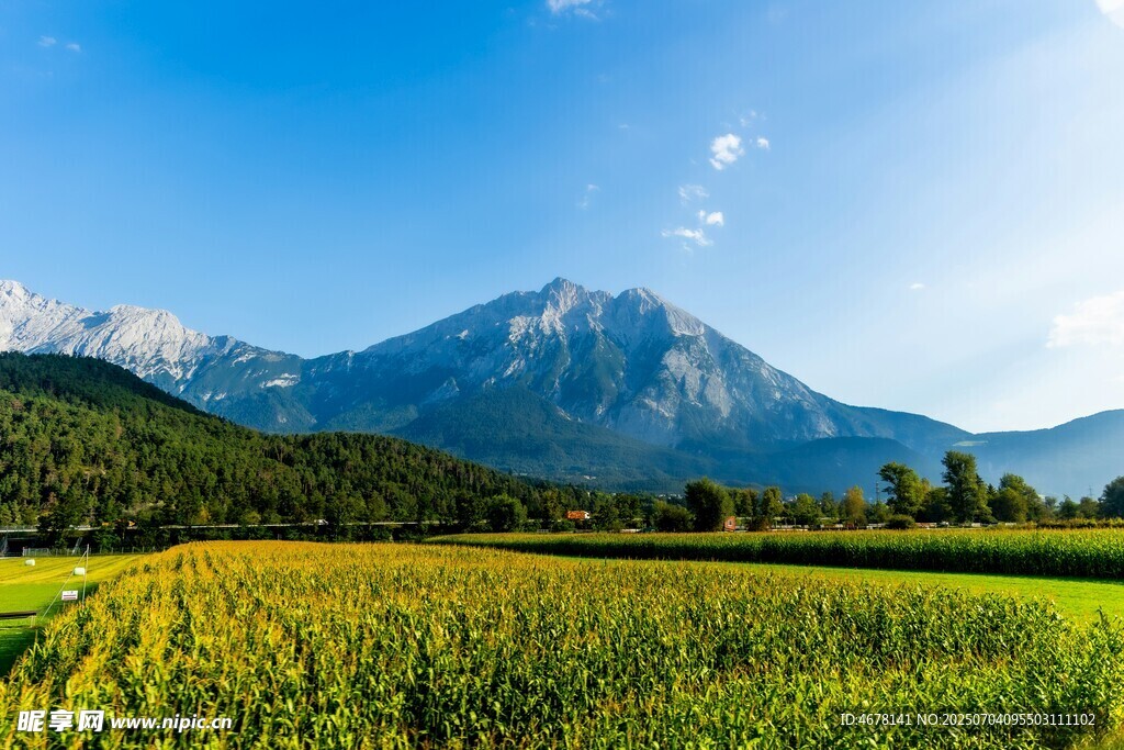 山间田野美景