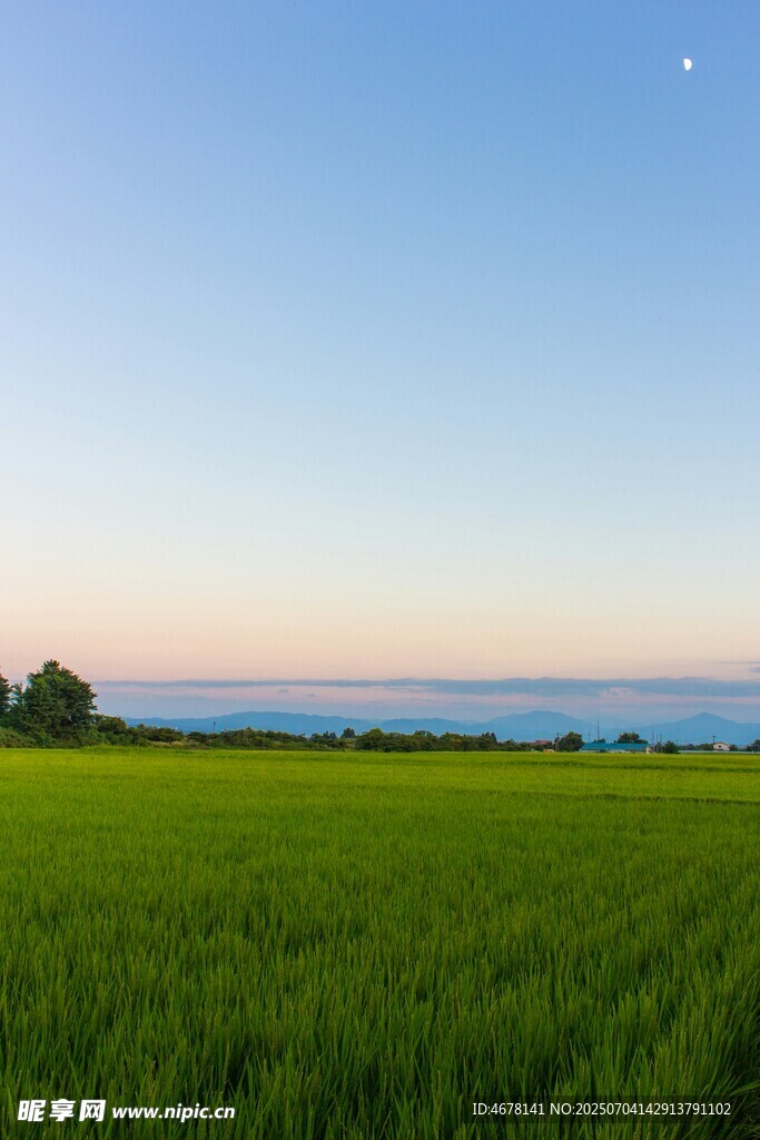 绿色田野与天际线美景