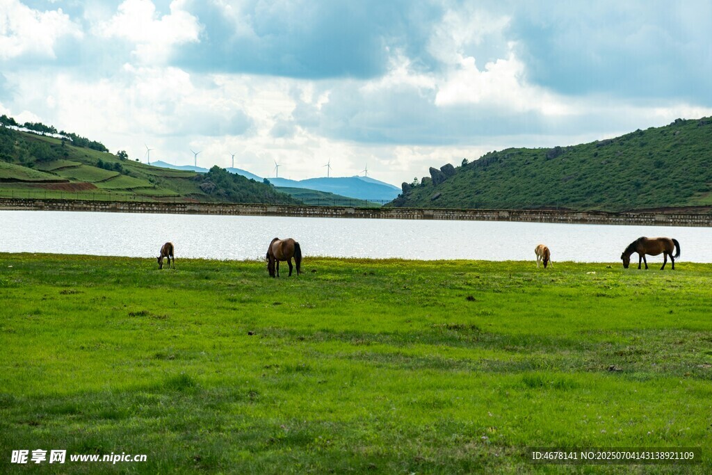 草原湖畔骏马悠然图景