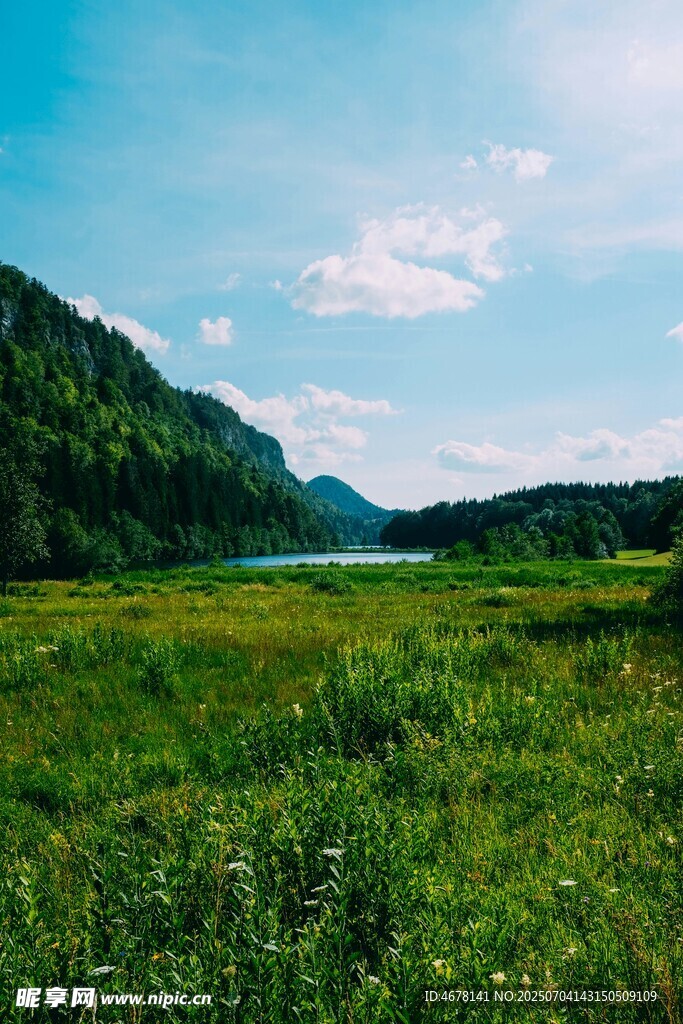 绿野青山间的自然美景