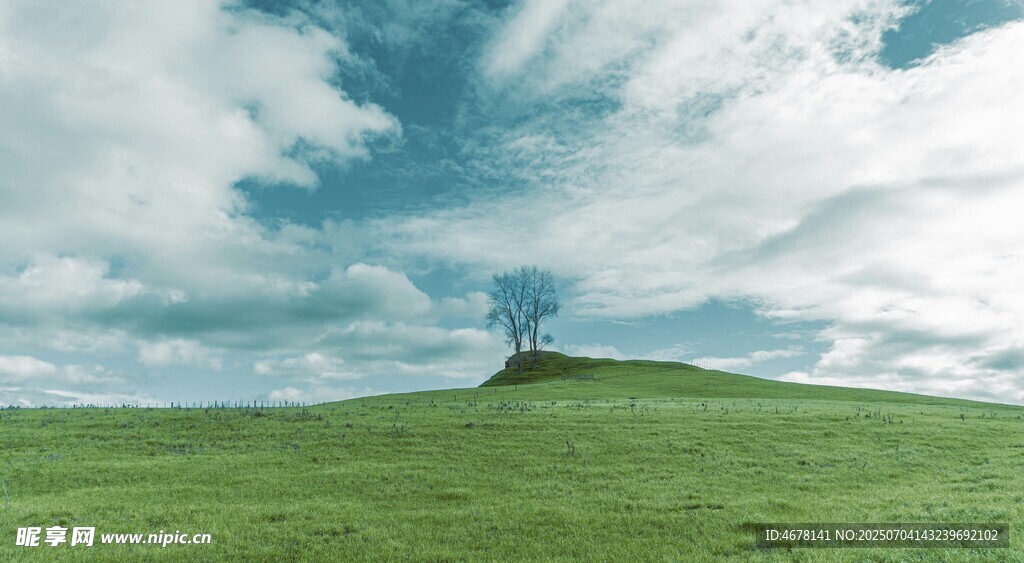草原孤树天际云景