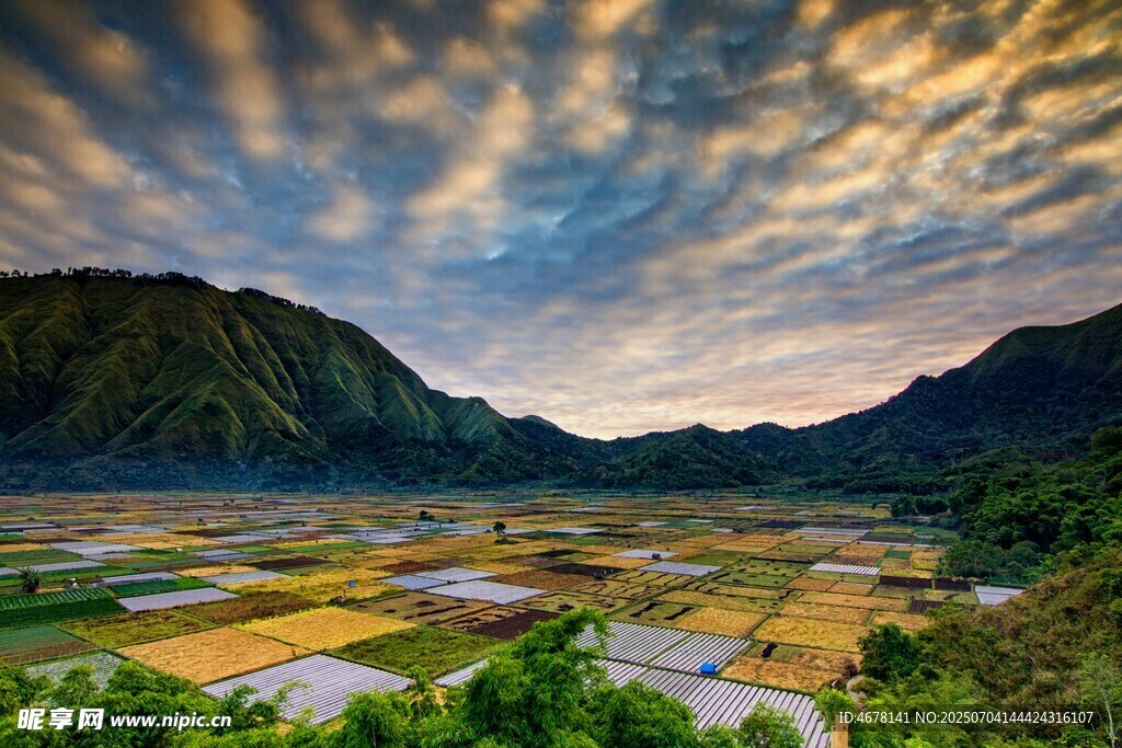 山间田园美景