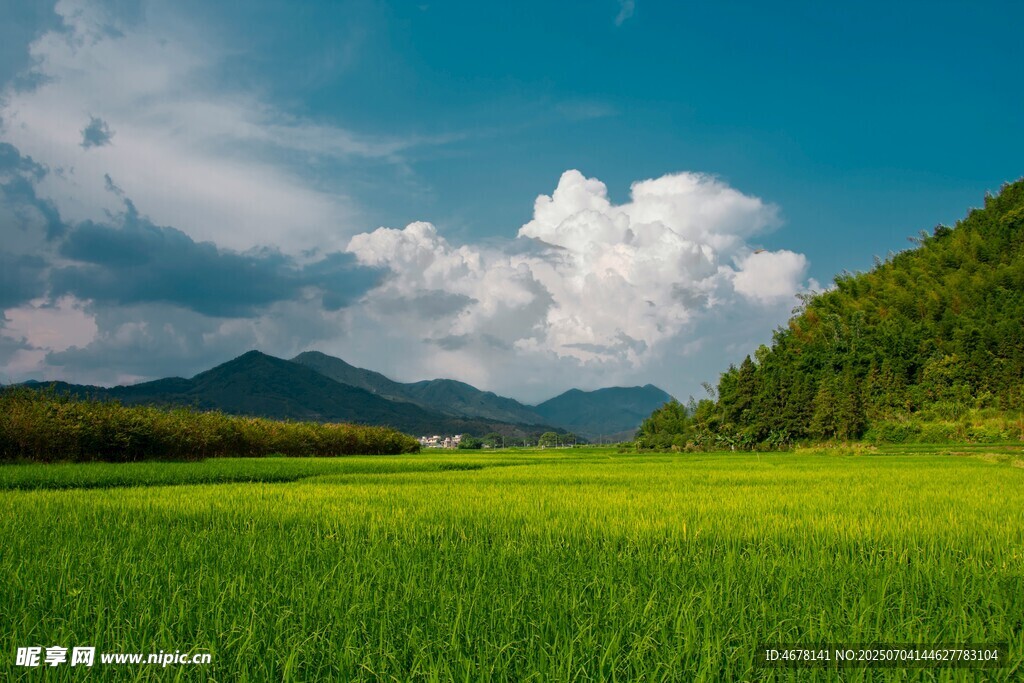 广袤绿野与远山蓝天
