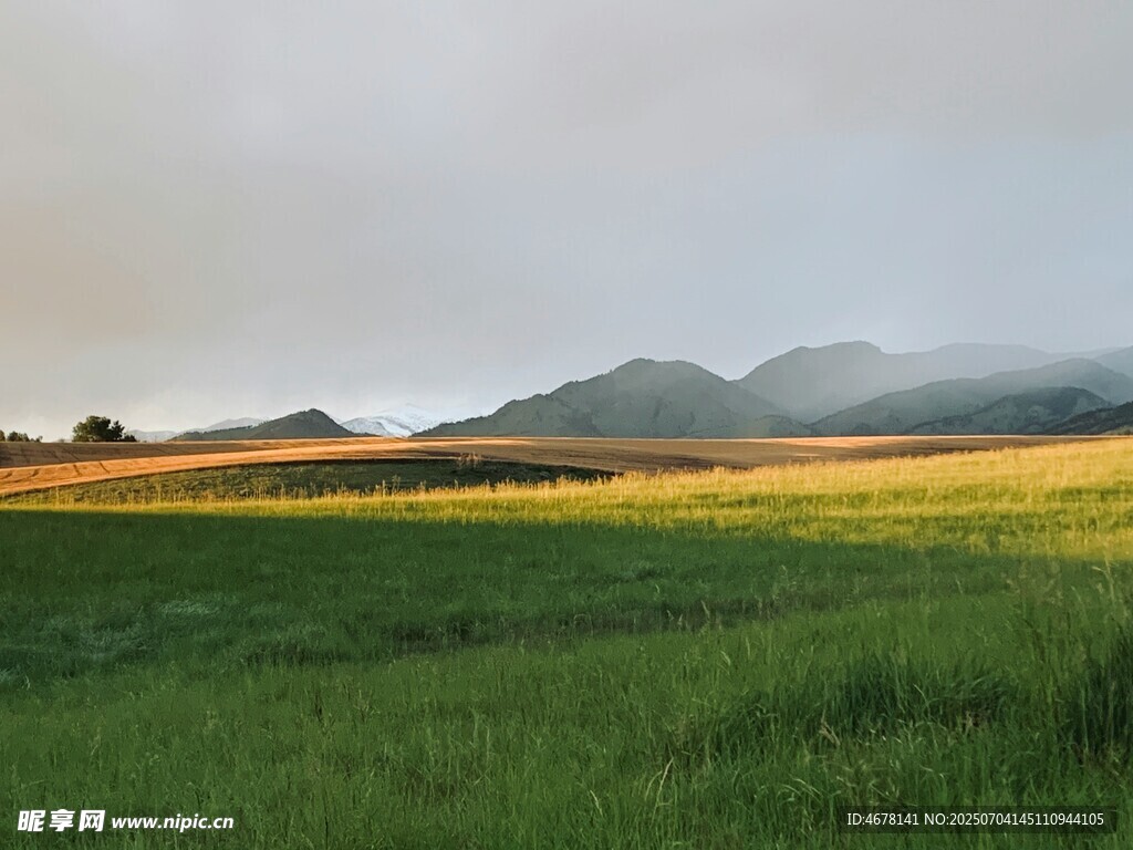 草原晨曦美景