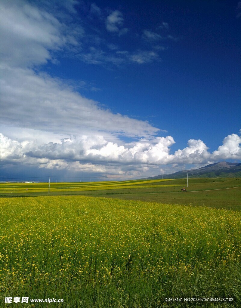 草原蓝天美景