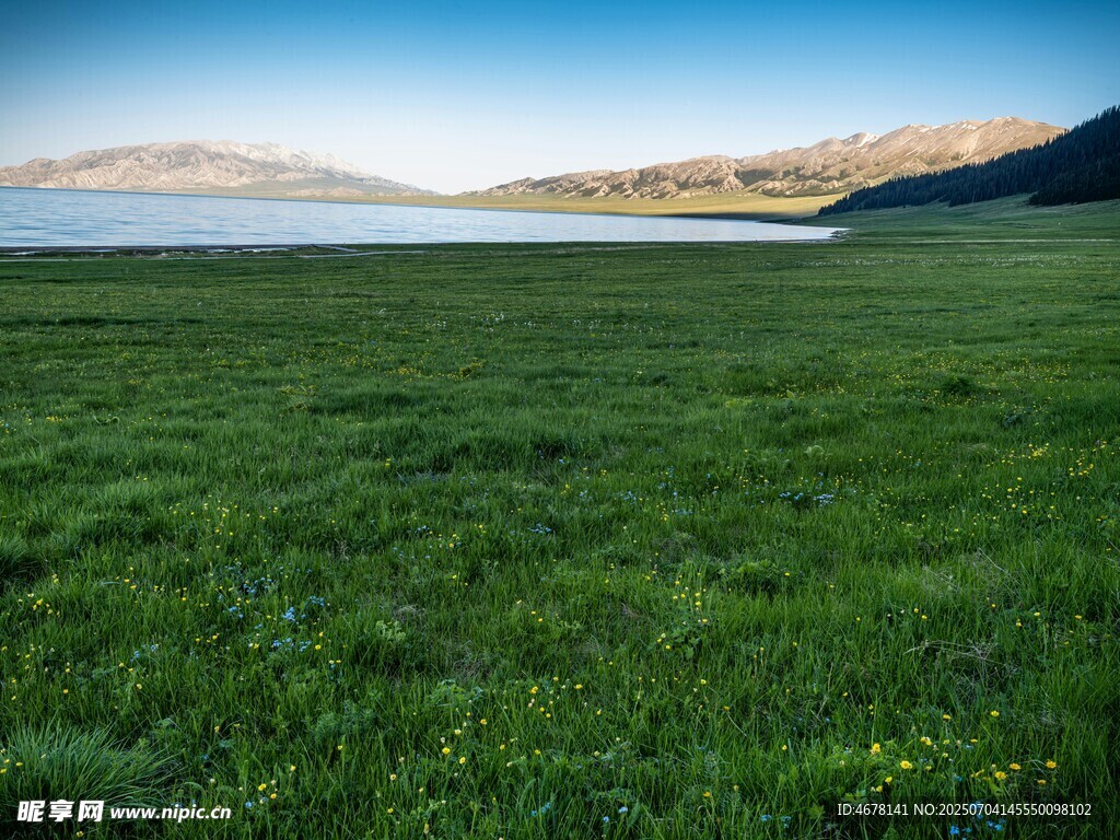 广袤草原与远处山水景致