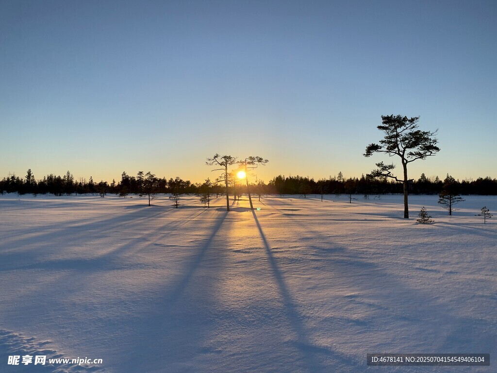 冬日雪地夕阳下的静谧景象