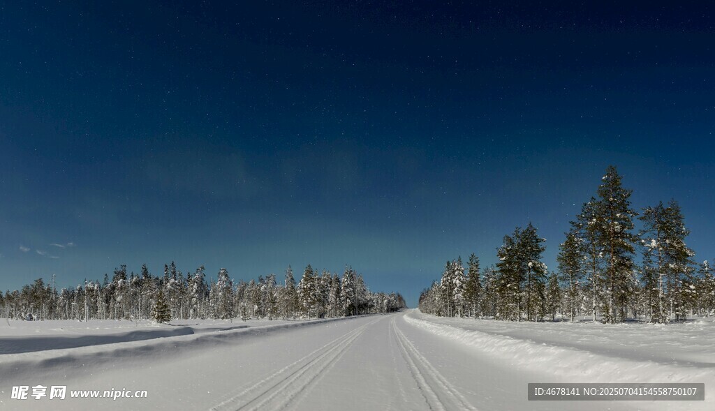冬日雪路静谧森林之景