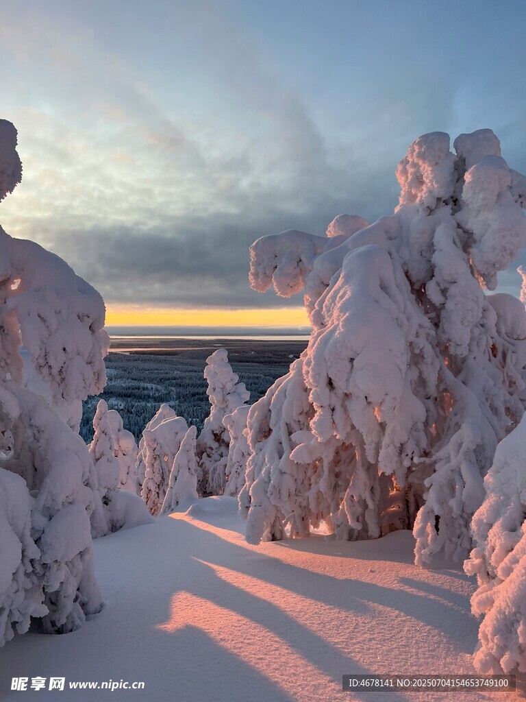 雪覆山林的绝美冬日景象