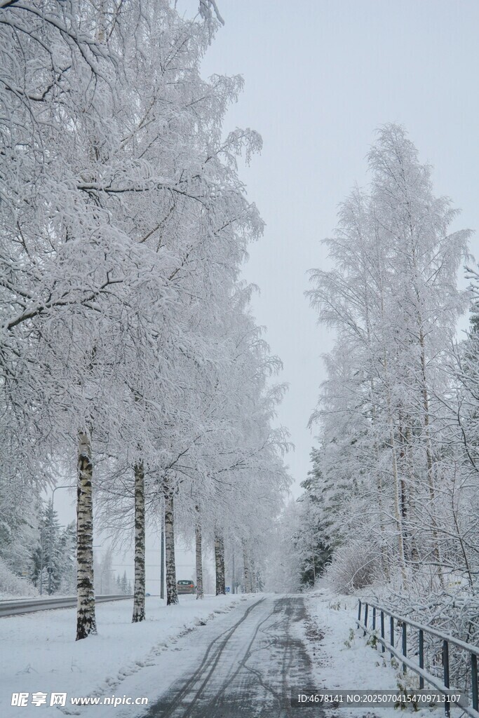 冬日雪覆林间路