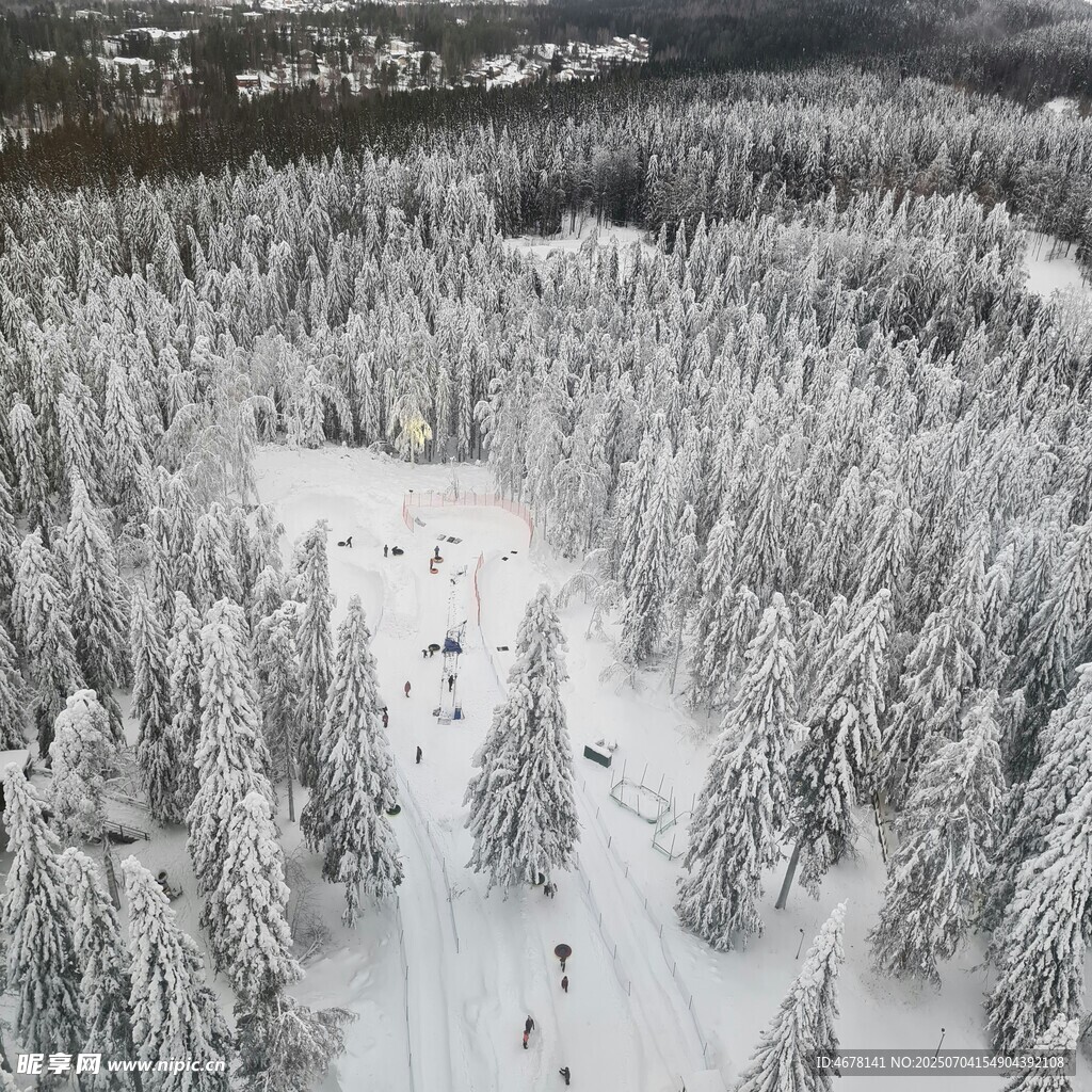 冬日雪林滑雪场景