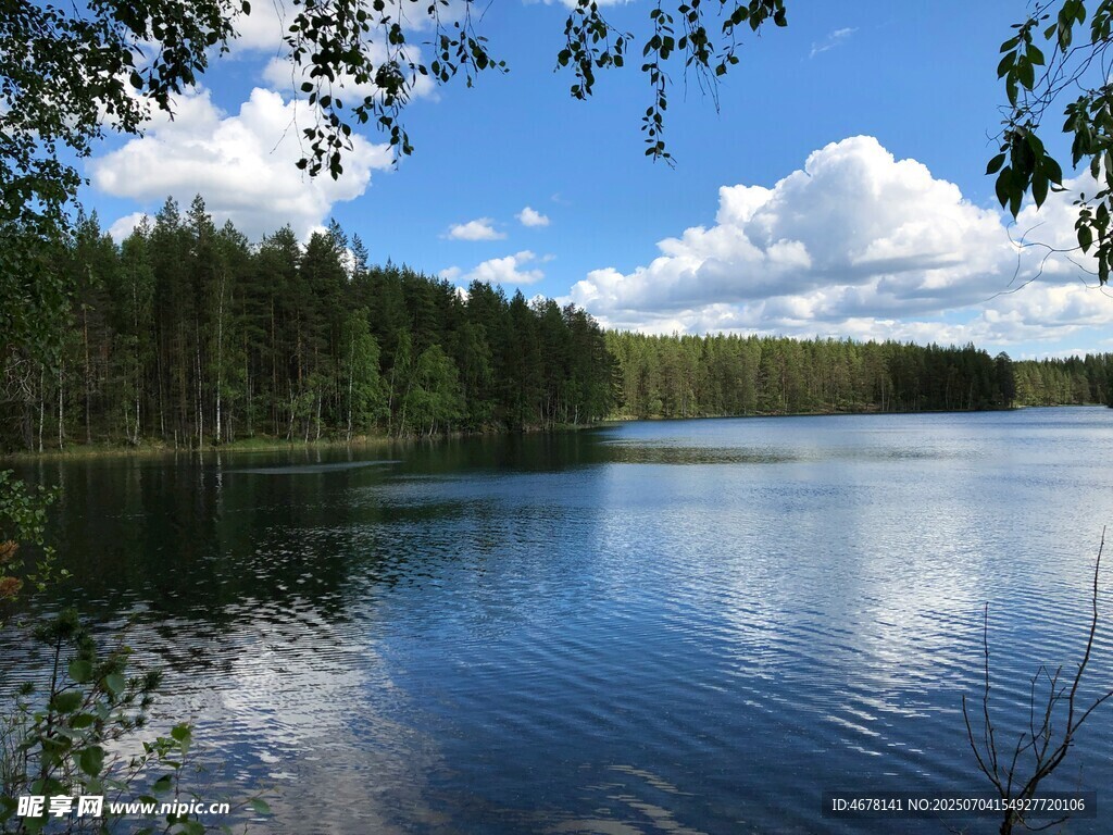 宁静湖畔森林美景