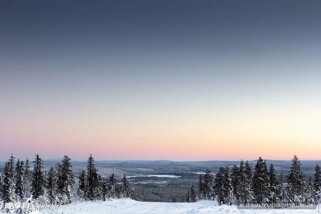 冬日雪林的黄昏美景