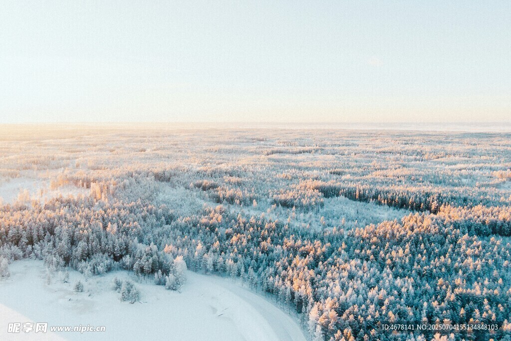 冬日雪林全景