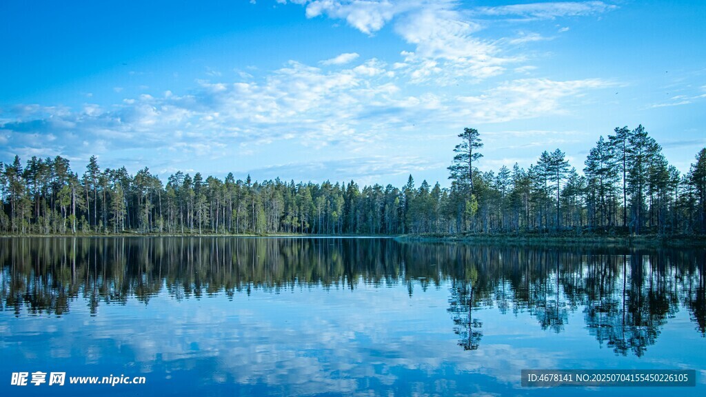宁静湖畔森林倒影美景