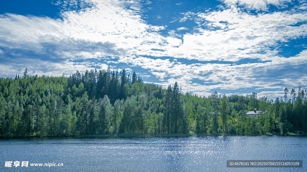 湖畔森林美景