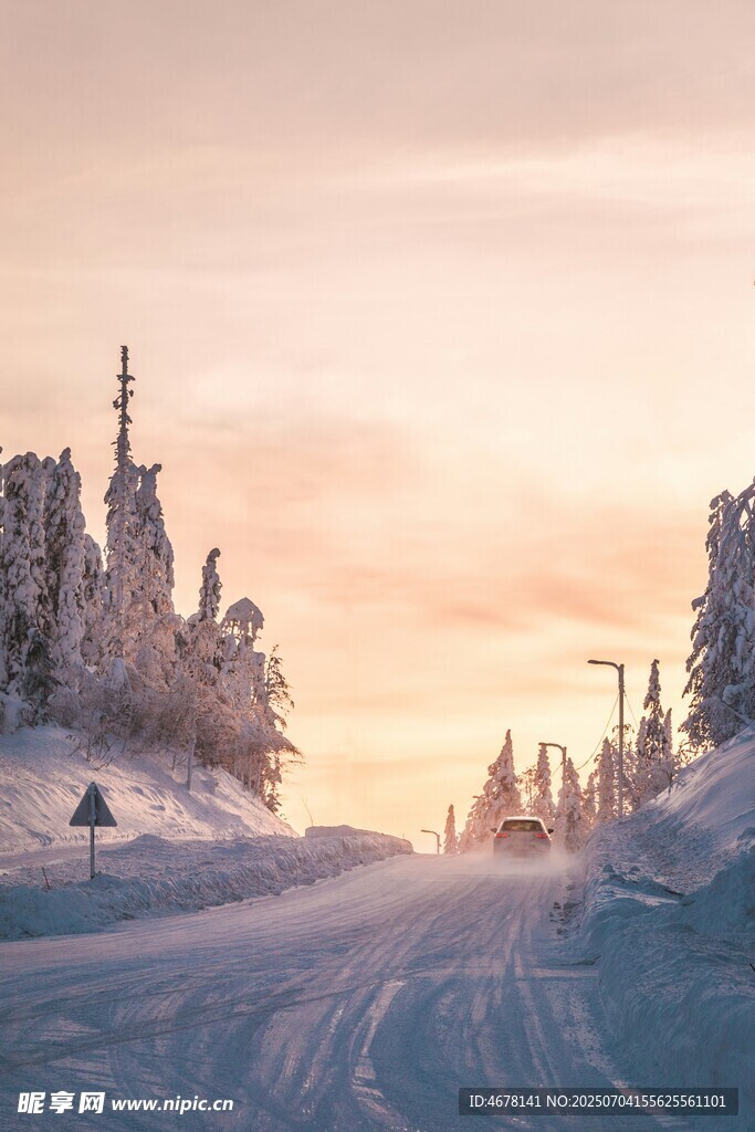 冬日雪林黄昏美景