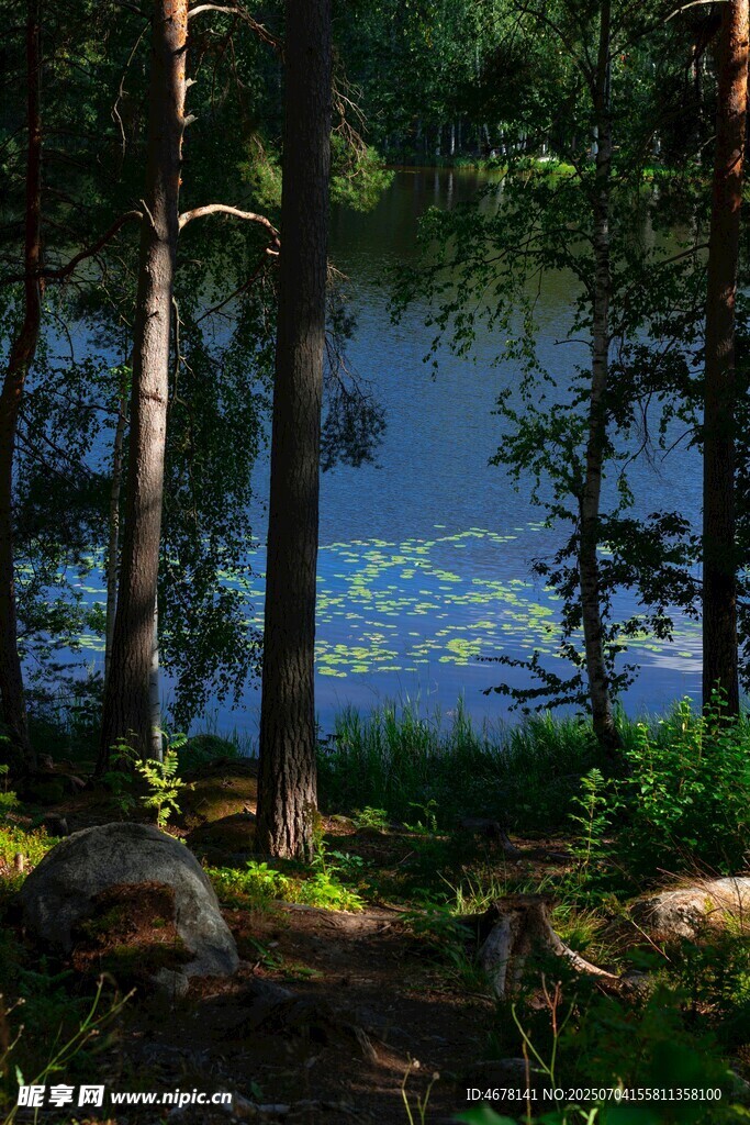森林湖畔美景