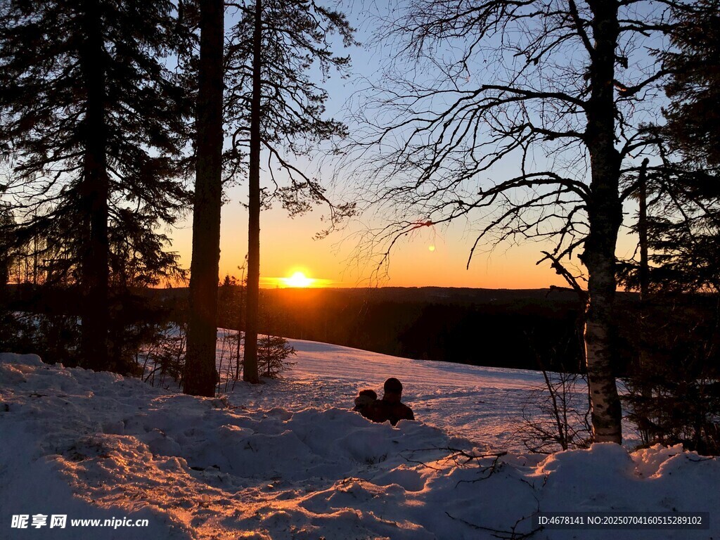 雪林夕阳下的静谧美景