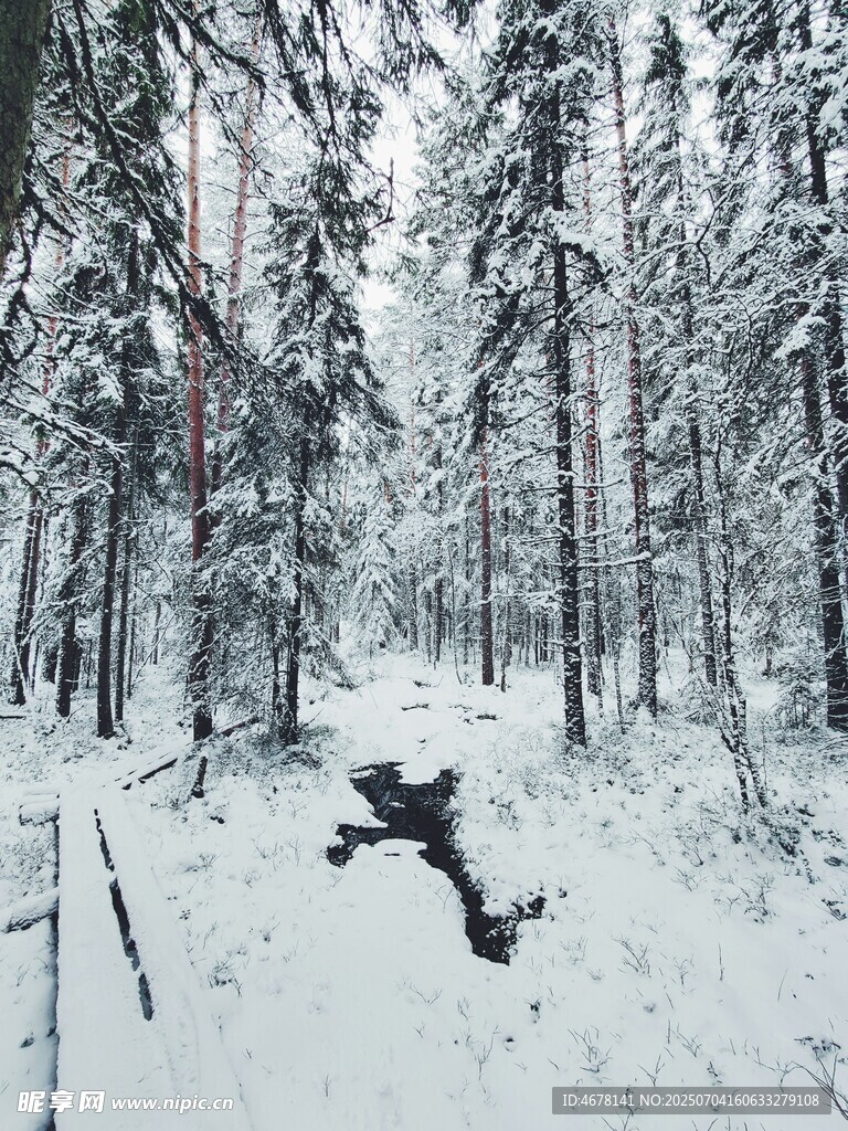 雪地林间的欢乐跳跃瞬间