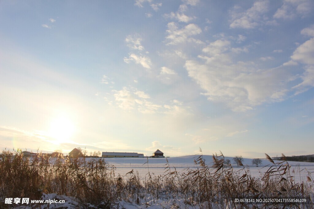 冬日雪野日出美景