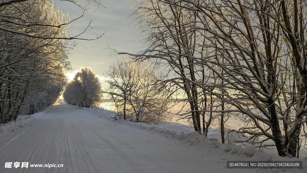 冬日雪林小路美景