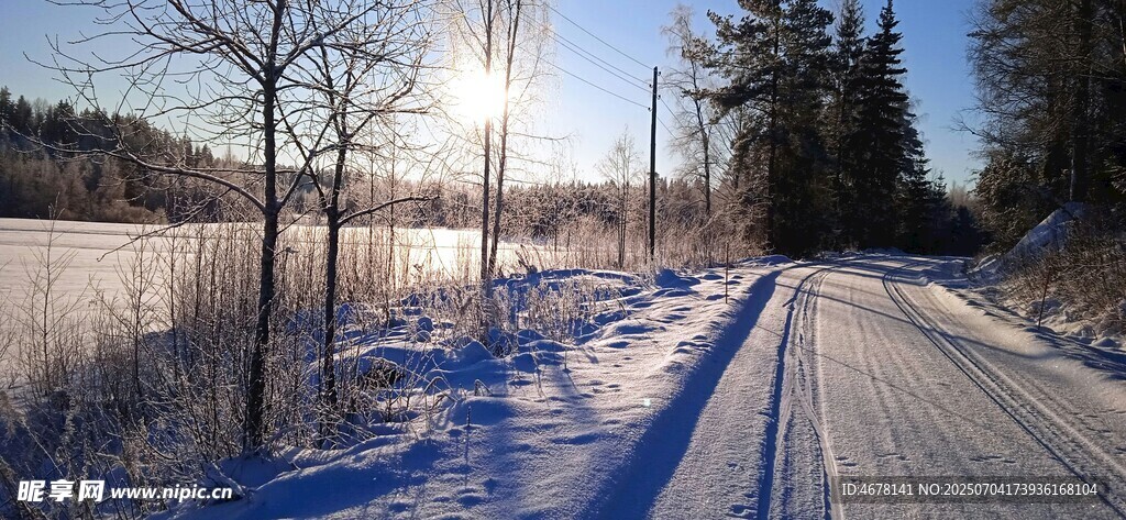 冬日雪路阳光洒落美景