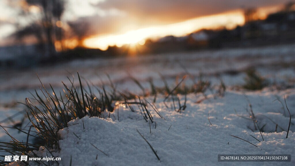 雪地上的夕阳美景