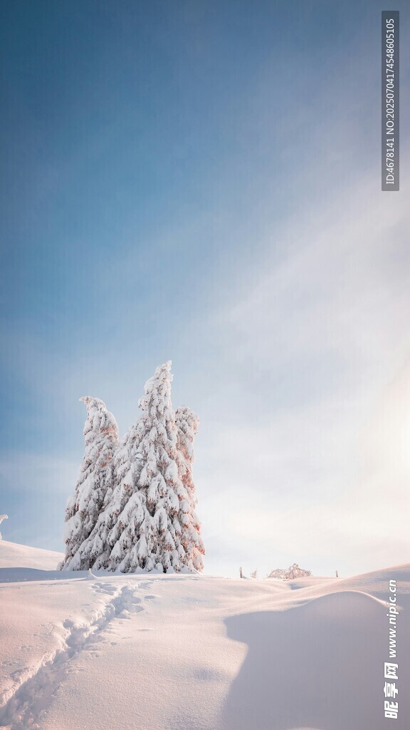 雪覆山林的冬日美景