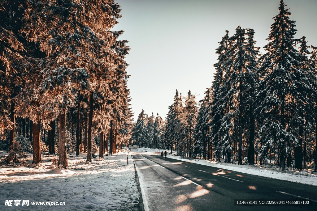 冬日雪覆林间公路美景