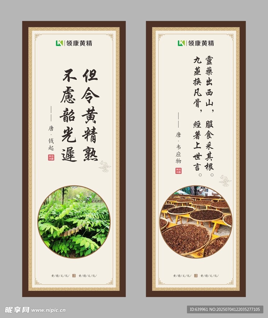 领康黄精宣传挂画