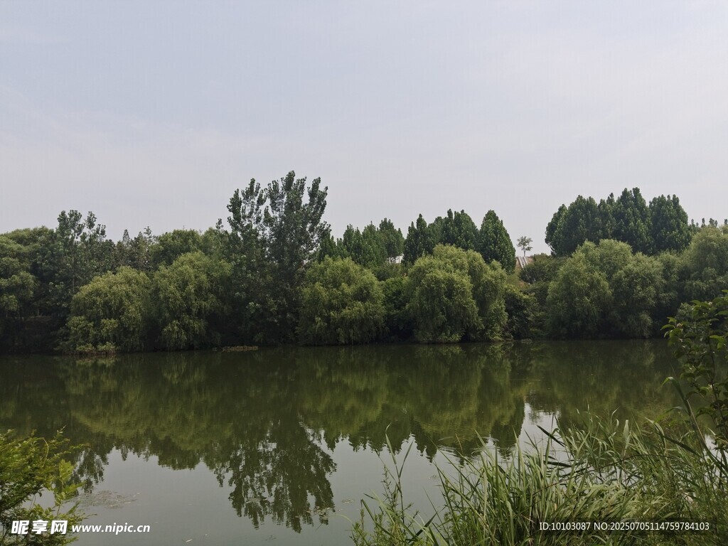 宁静湖畔绿树倒影美景