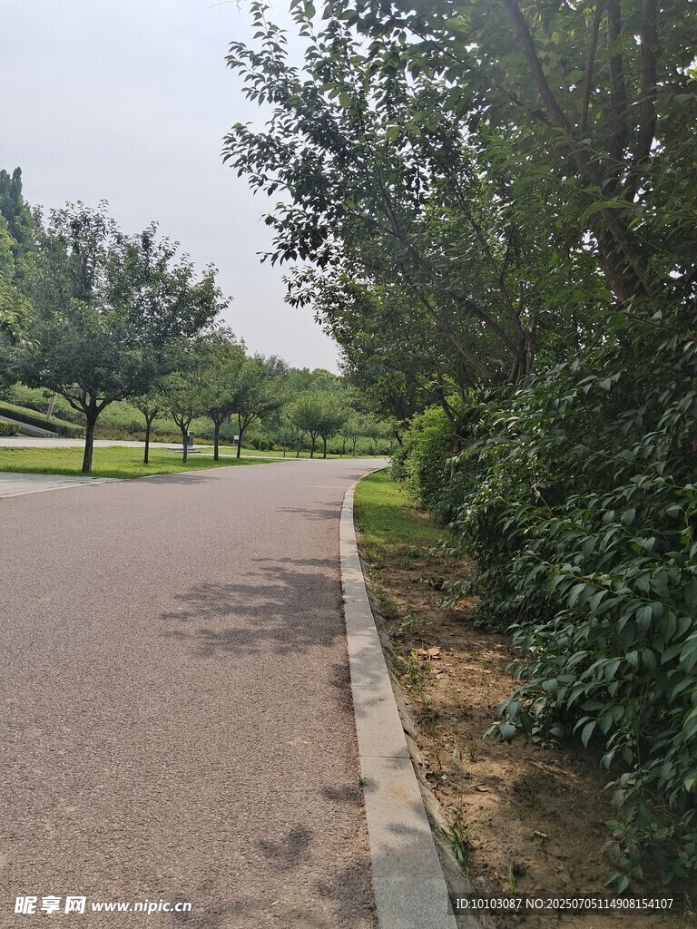 公园幽静小路旁绿植环绕
