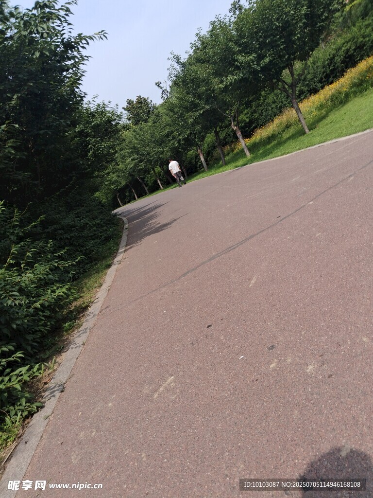 公园中的幽静柏油小路