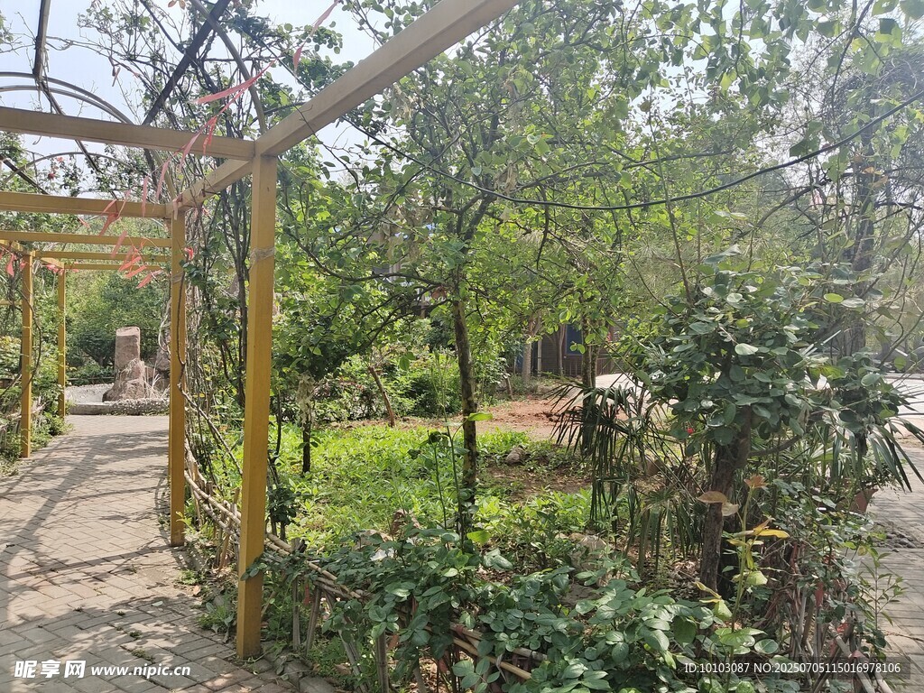 宁静庭院绿植景观