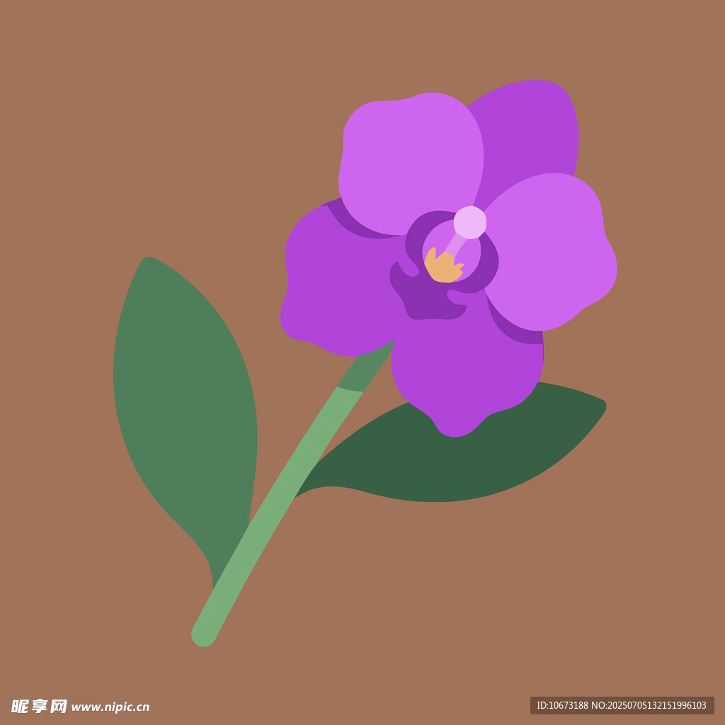 紫色单朵小花插画