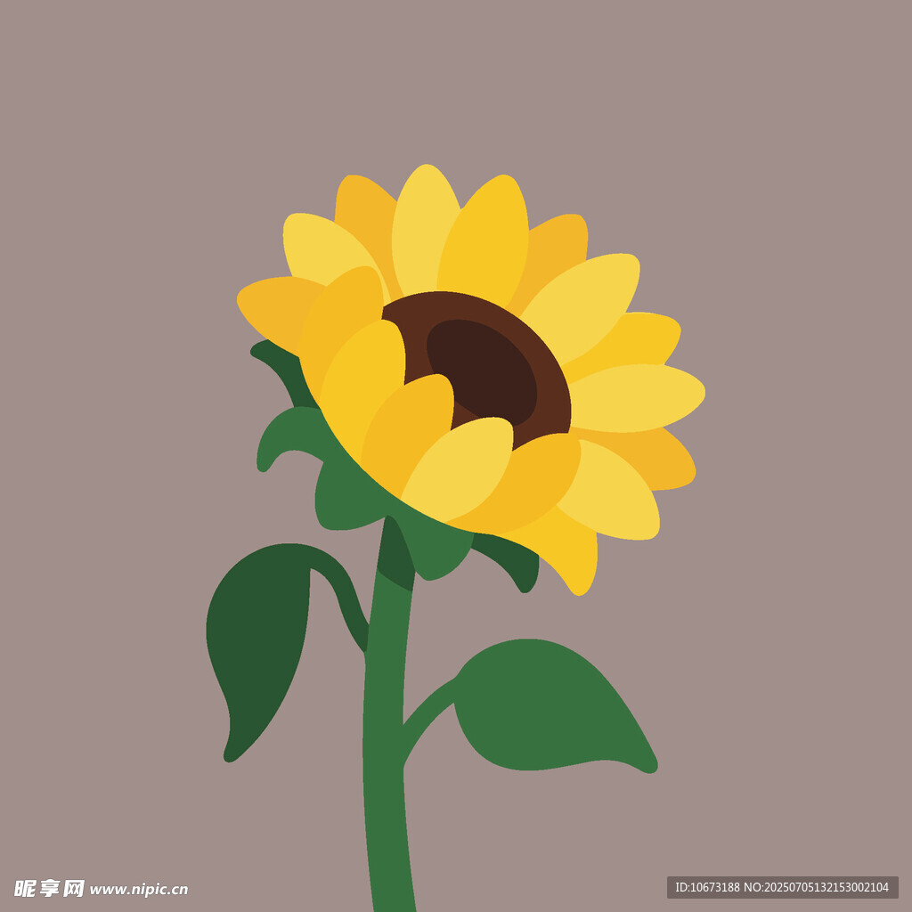 可爱向日葵插画