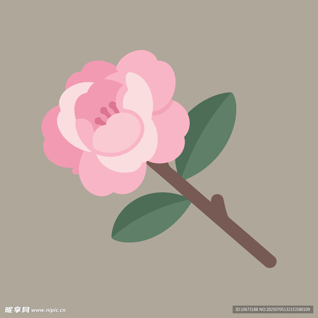 粉色山茶花插画