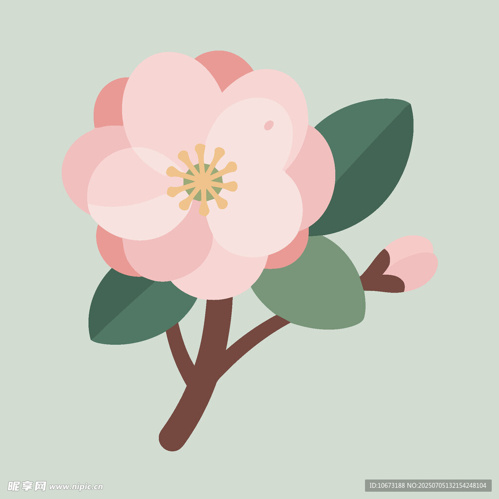 粉色山茶花插画