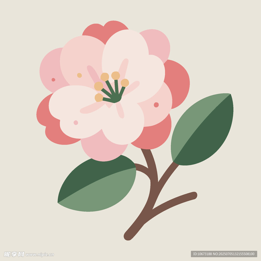 粉色山茶花插画