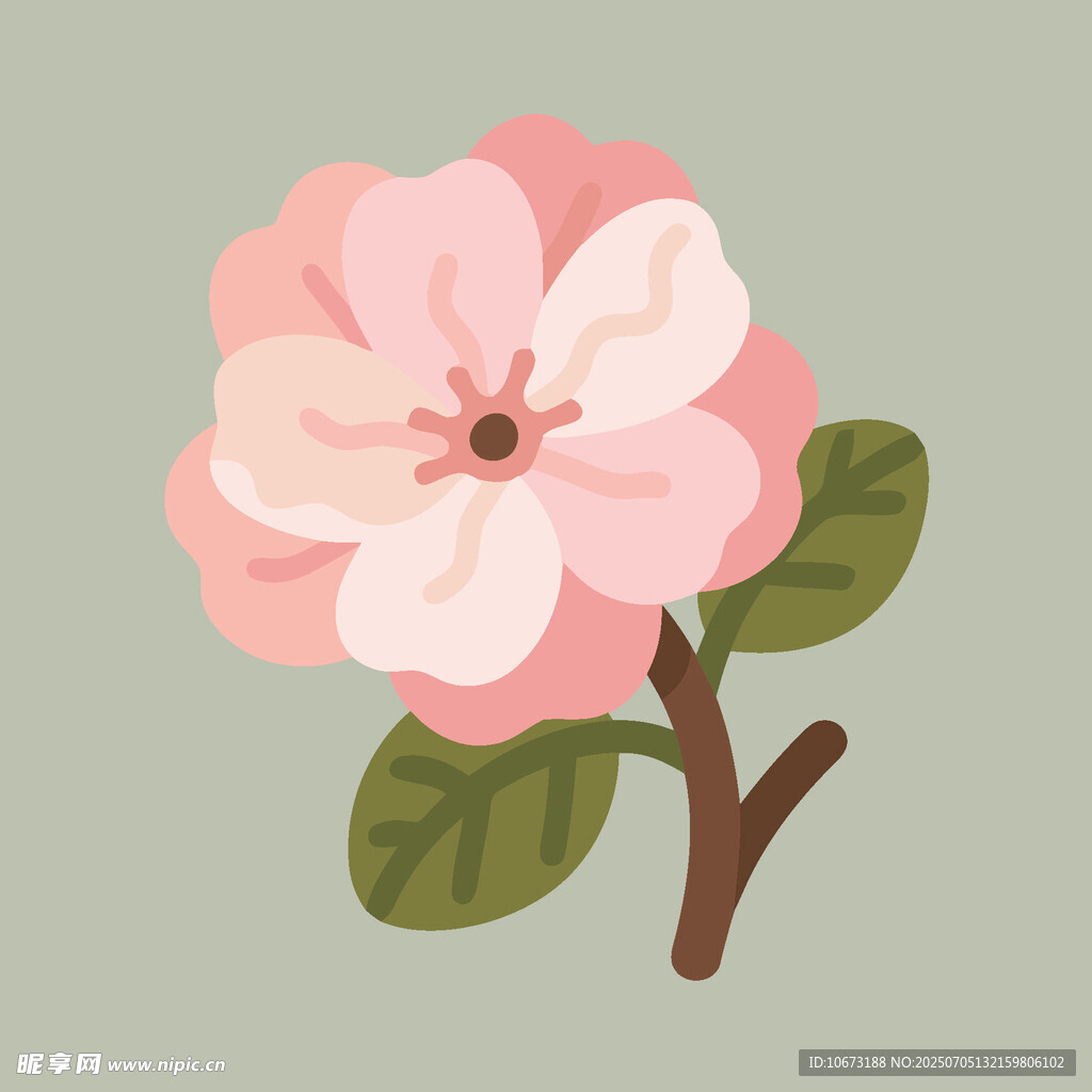粉色花朵插画