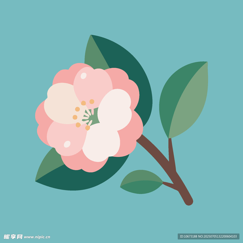 粉色山茶花插画
