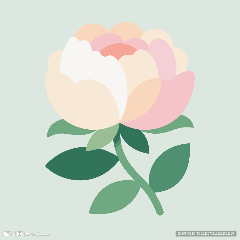 简约风粉色牡丹花插画