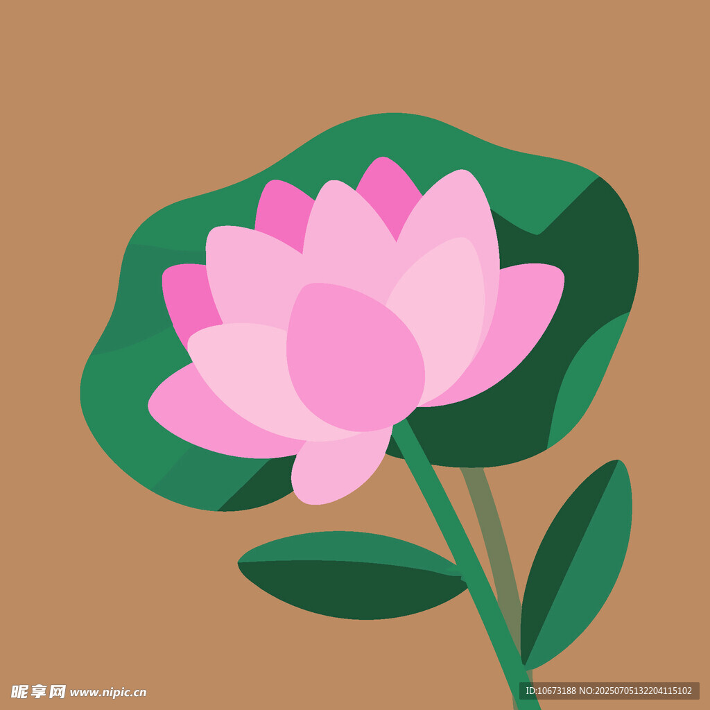 粉色荷花插画